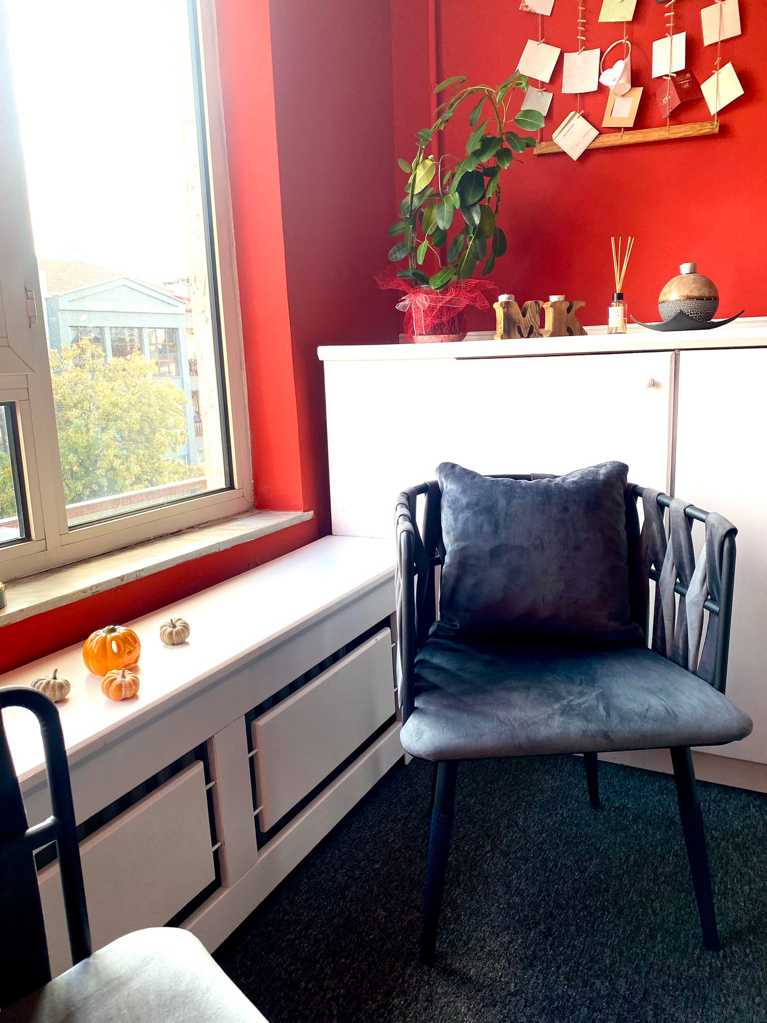 Dil Konuşma Rehabilitasyonu